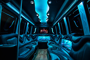 14 Passenger Party Bus